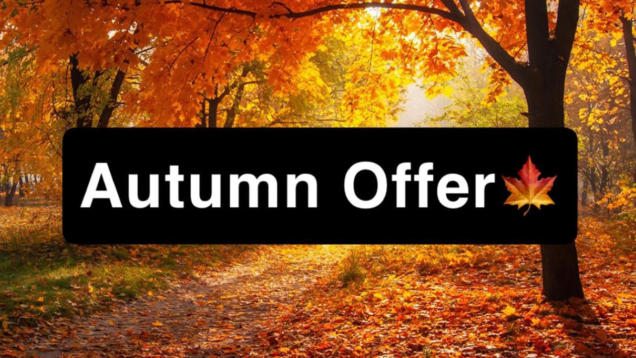 Autumn Offer